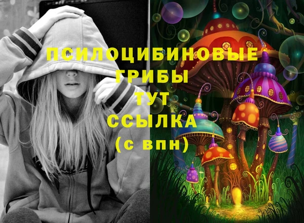 MDMA Беломорск
