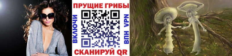 ссылка на мегу ТОР купить наркоту Красный Кут Псилоцибиновые грибы GOLDEN TEACHER